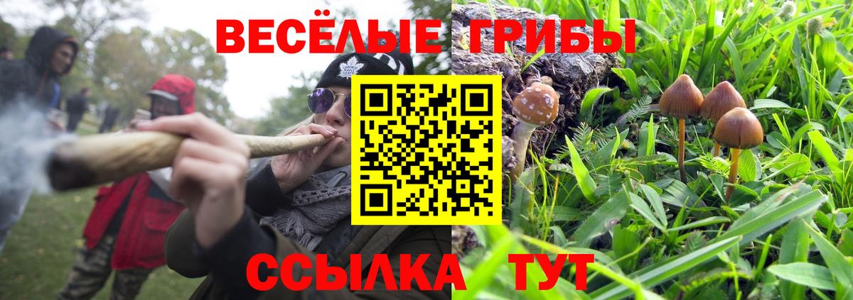 Галлюциногенные грибы Psilocybine cubensis Добрянка